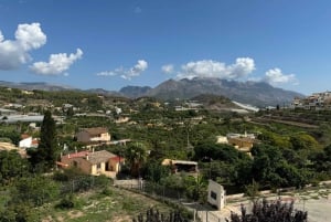 Великолепное 7-дневное путешествие