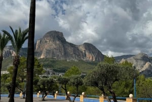 Великолепное 7-дневное путешествие