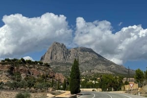 Великолепное 7-дневное путешествие