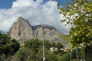 Великолепное 7-дневное путешествие