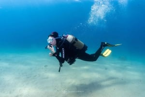 Tossa de Mar: PADI Discovery Scuba Diving in Costa Brava