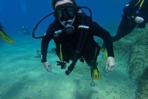 Tossa de Mar: PADI Discovery Scuba Diving in Costa Brava