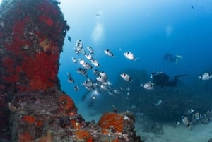 Tossa de Mar: PADI Discovery Scuba Diving in Costa Brava