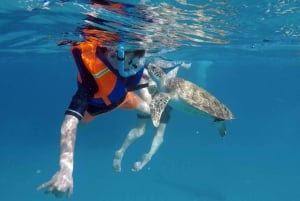 Barbados: Turtles & Shipwrecks Small-Group Snorkel Catamaran