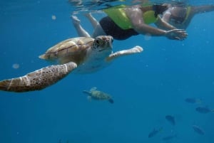 Barbados: Turtles & Shipwrecks Small-Group Snorkel Catamaran