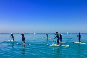 Valencia: 1 times lektion i stand up paddle board