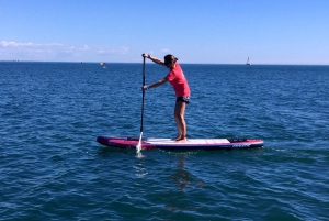 Valencia: 1 times lektion i stand up paddle board