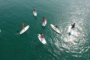 Valencia: 1 times lektion i stand up paddle board