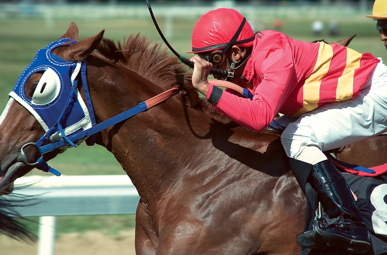 Horse Racing at the Garrison - February 2019