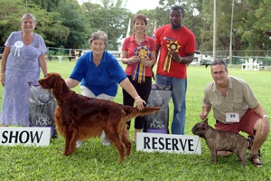 Barbados Kennel Club's All Breeds Championship Show - November 2020