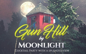 Gun Hill By Moonlight 2020 