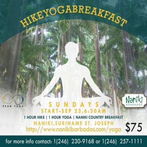 Hike - Yoga - Breakfast at Naniki