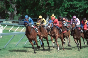 Horse Racing at the Garrison - April 2019