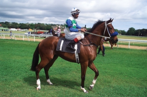 Horse Racing at The Garrison - August 2019
