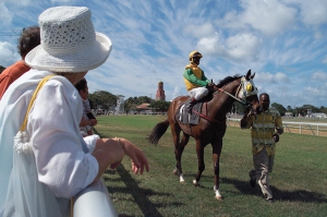 Horse Racing at the Garrison - January 2019