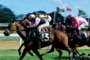 Horse Racing at The Garrison - July 2019