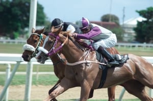 Horse Racing at the Garrison - June 2019