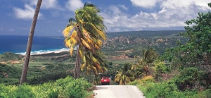 Driving Tips & Map Reading