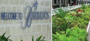 Grantley Adams International Airport 