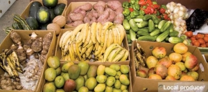 Local Produce
