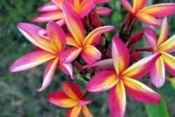 National and Public Holidays