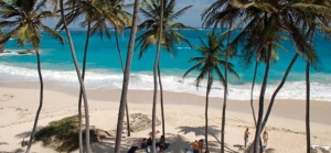 South-East Coast Beaches