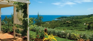 Weddings and Honeymoons in Barbados