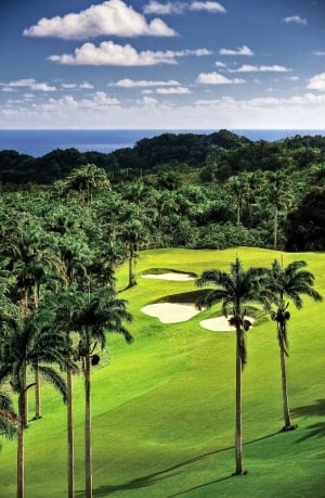 14th Hole at Apes Hill Club