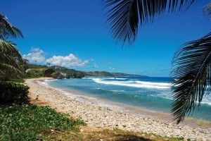 Discover Bathsheba beach, East Coast