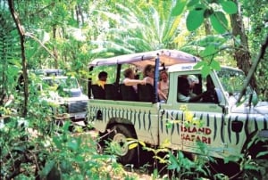 Enjoy an exciting Island Safari adventure