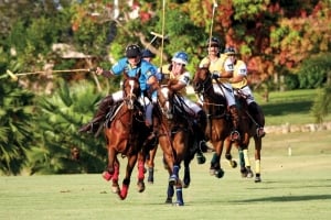 Enjoy watching a Polo match