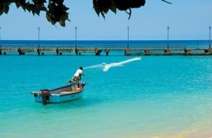 Fisherman with a net in Speightstown