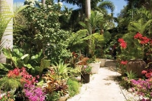 Hunte's Gardens, a horticularist's dream