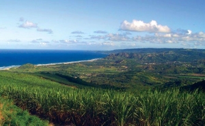 Stunning view from Cherry Tree Hill