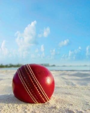 Watch a cricket match while you're here!