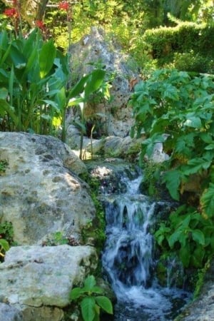 Waterfall, Andromeda Botanical Gardens