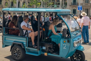 1,5 uur durende privétour door Barcelona en langs het strand met een tuktuk