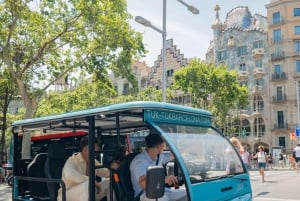 1,5 uur durende privétour door Barcelona en langs het strand met een tuktuk