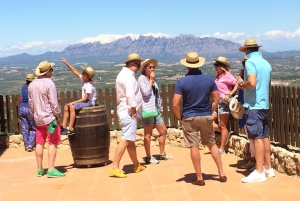 2日間のツアー:ガウディ、サグラダファミリア、モンセラット、葡萄畑