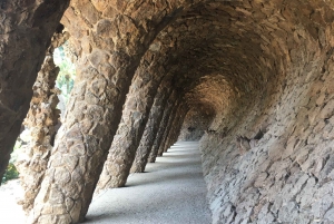 2日間のツアー:ガウディ、サグラダファミリア、モンセラット、葡萄畑