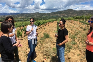 2日間のツアー:ガウディ、サグラダファミリア、モンセラット、葡萄畑