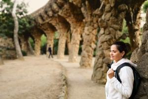 2日間のツアー:ガウディ、サグラダファミリア、モンセラット、葡萄畑