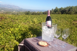 2日間のツアー:ガウディ、サグラダファミリア、モンセラット、葡萄畑