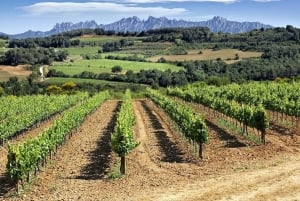 4 tunnin superautoreitti katalonialaiselle viinitilalle Barcelonasta