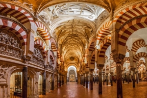 Andalusien und Valencia: 6-tägige Tour ab Barcelona