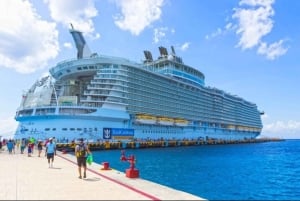 Llegada barcelona Puerto de cruceros al aeropuerto traslado privado