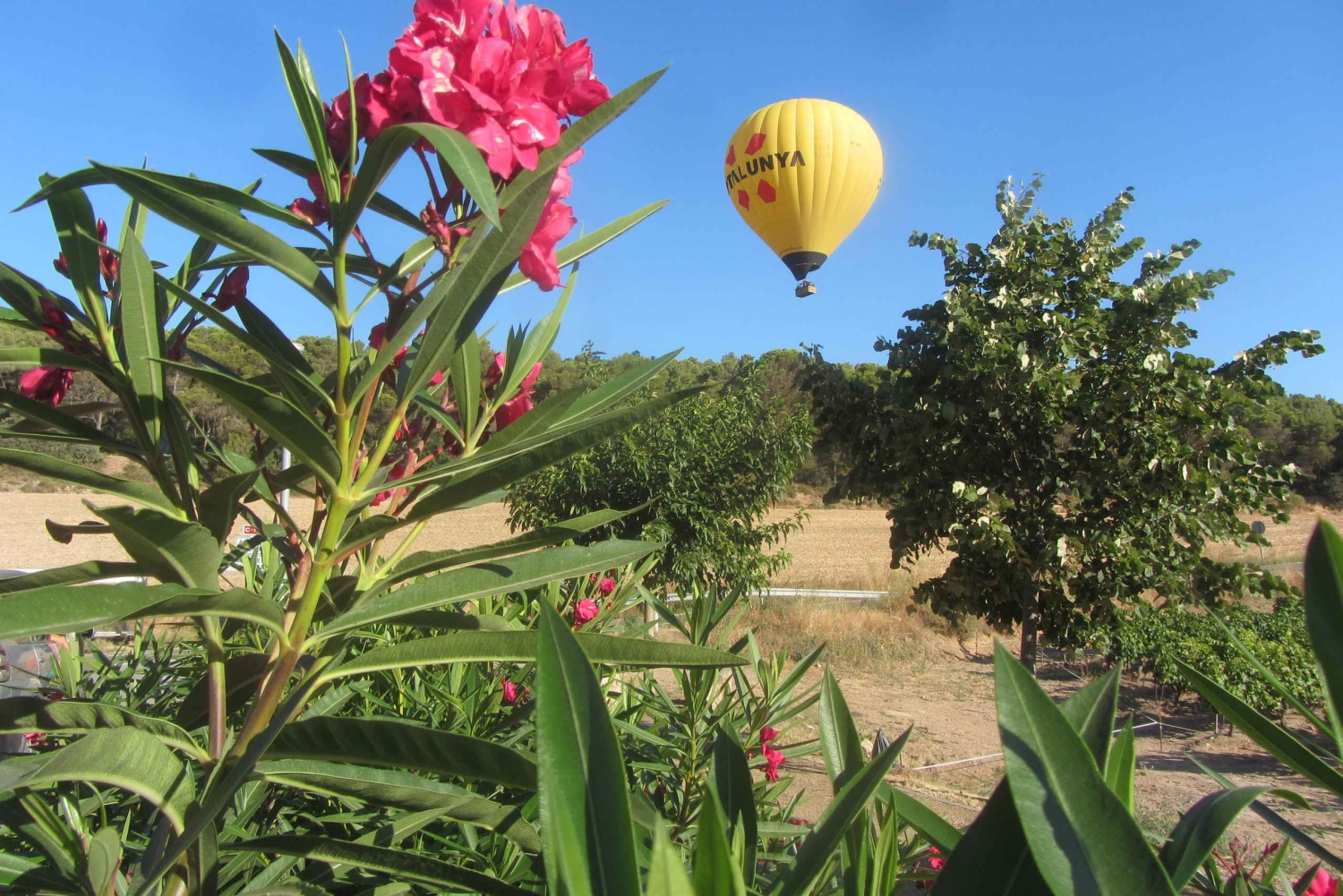Volo in mongolfiera: vista panoramica di Montserrat e trasporto da Barcellona