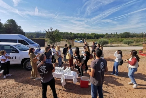 Volo in mongolfiera: vista panoramica di Montserrat e trasporto da Barcellona