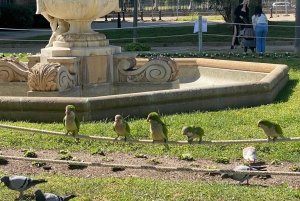 Barcelona: tour turístico de 1,5 horas en bicicleta/bicicleta eléctrica