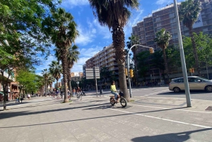 Barcelona: tour turístico de 1,5 horas en bicicleta/bicicleta eléctrica
